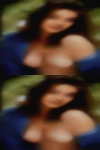 North adult personals